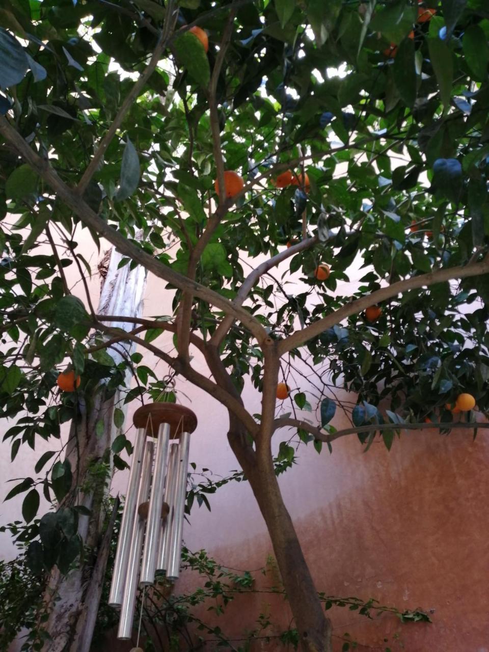 Les Bains De Fez Tara Bed & Breakfast Exterior foto